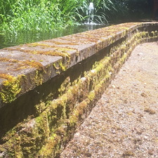 Spring-pressure-washing-for-Kirkland-springs-apartments 0